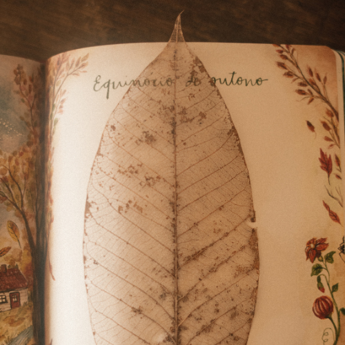 Mandala Lunar 2026 | Hemisferio Norte - Image 5